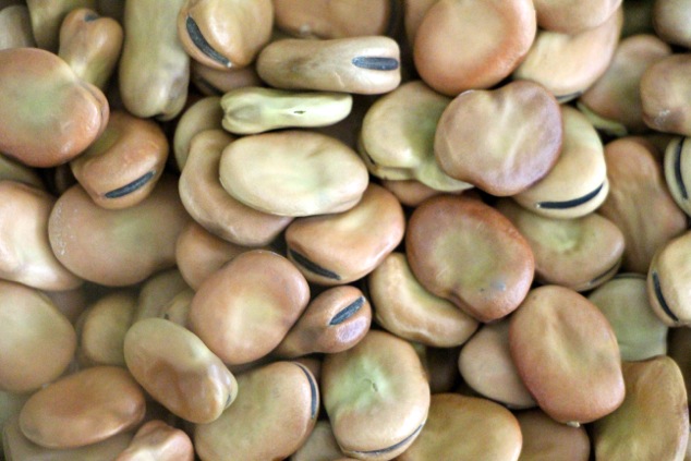 Dried Fava Beans (kg)