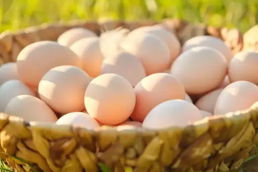 Balady chicken eggs